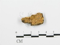 登錄號:F0017496藏品圖，第1張