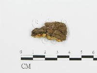 登錄號:F0017496藏品圖，第4張
