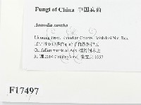 登錄號:F0017497藏品圖，第2張