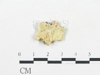 登錄號:F0017497藏品圖，第1張