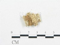 登錄號:F0017497藏品圖，第4張