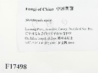 登錄號:F0017498藏品圖，第2張