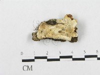 登錄號:F0017498藏品圖，第1張