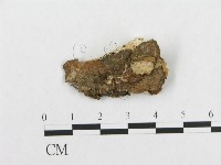 登錄號:F0017498藏品圖，第5張