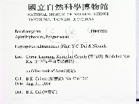 登錄號:F0017500藏品圖，第2張