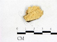 登錄號:F0017500藏品圖，第1張
