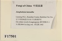 登錄號:F0017501藏品圖，第2張