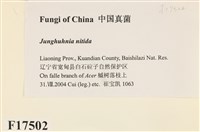登錄號:F0017502藏品圖，第2張
