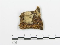 登錄號:F0017503藏品圖，第4張