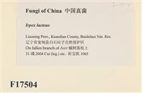 登錄號:F0017504藏品圖，第2張