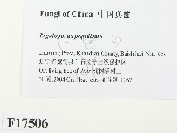 登錄號:F0017506藏品圖，第2張