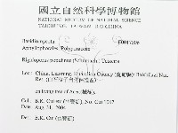 登錄號:F0017506藏品圖，第3張