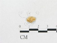 登錄號:F0017506藏品圖，第1張