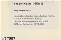登錄號:F0017507藏品圖，第2張