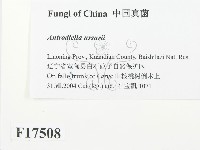 登錄號:F0017508藏品圖，第2張