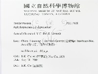 登錄號:F0017508藏品圖，第3張