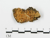 登錄號:F0017508藏品圖，第1張