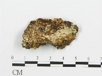 登錄號:F0017508藏品圖，第4張