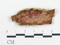登錄號:F0017509藏品圖，第1張