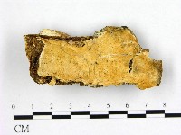 登錄號:F0017510藏品圖，第1張
