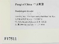 登錄號:F0017511藏品圖，第2張