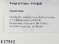 登錄號:F0017512藏品圖，第2張