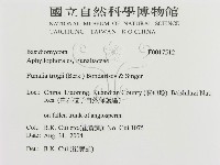 登錄號:F0017512藏品圖，第3張