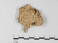 登錄號:F0017512藏品圖，第1張