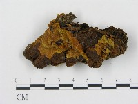 登錄號:F0017513藏品圖，第1張