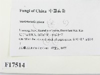 登錄號:F0017514藏品圖，第2張