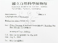 煙管菌藏品圖，第3張