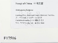 登錄號:F0017516藏品圖，第2張