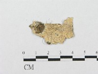 登錄號:F0017516藏品圖，第1張