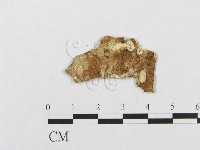 登錄號:F0017516藏品圖，第4張