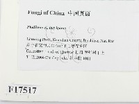 登錄號:F0017517藏品圖，第2張