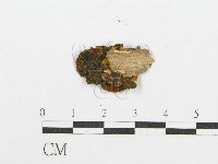 登錄號:F0017517藏品圖，第4張