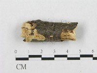 登錄號:F0017518藏品圖，第1張