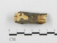 登錄號:F0017518藏品圖，第4張
