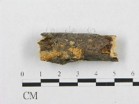登錄號:F0017518藏品圖，第6張