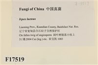 登錄號:F0017519藏品圖，第2張