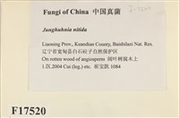 登錄號:F0017520藏品圖，第2張