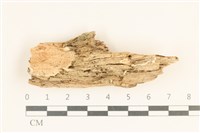 登錄號:F0017520藏品圖，第1張