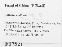 登錄號:F0017521藏品圖，第2張