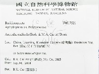 登錄號:F0017521藏品圖，第3張