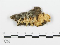 登錄號:F0017523藏品圖，第1張