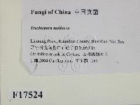 登錄號:F0017524藏品圖，第2張