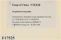 登錄號:F0017525藏品圖，第2張
