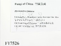登錄號:F0017526藏品圖，第2張