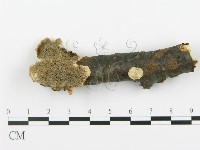 登錄號:F0017526藏品圖，第1張