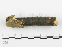 登錄號:F0017526藏品圖，第4張